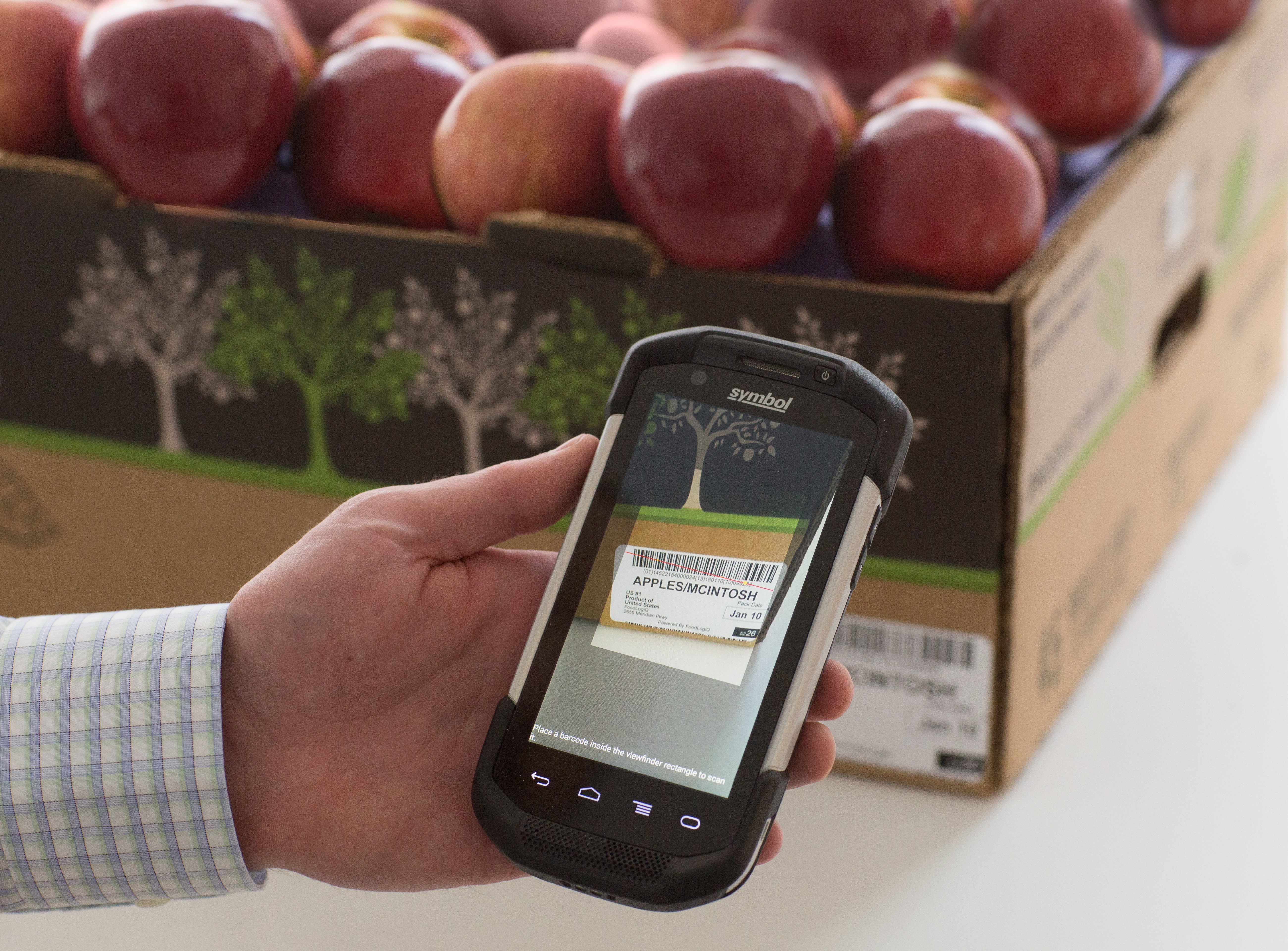 Person scanning traceability data on a container of apples.