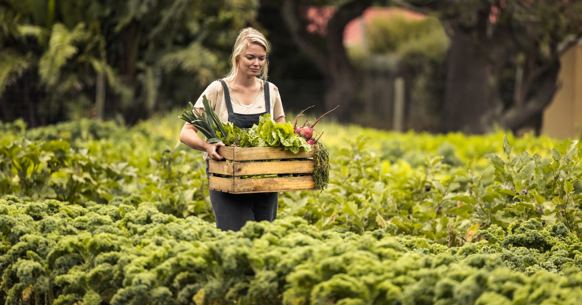 Woman in Field Carrying a Box of Produce